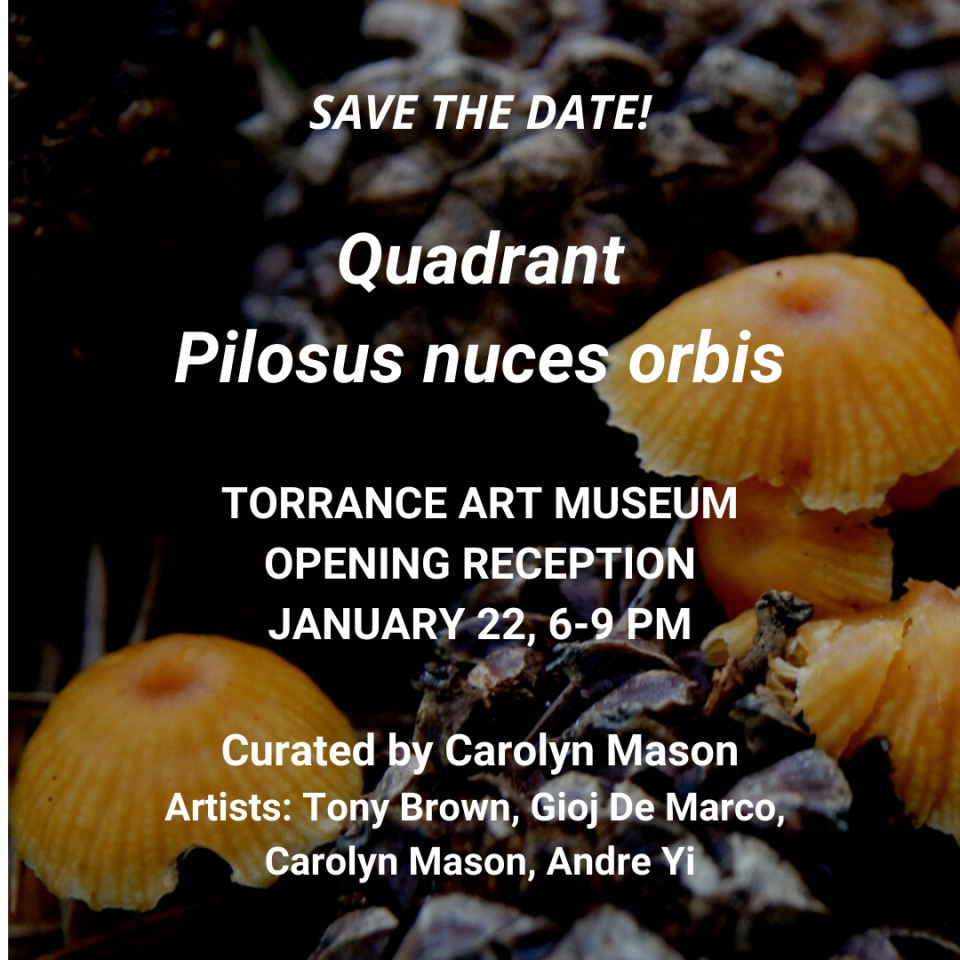 Pilosus nuces orbis curated by Carolyn Mason at the Torrance Art Museum