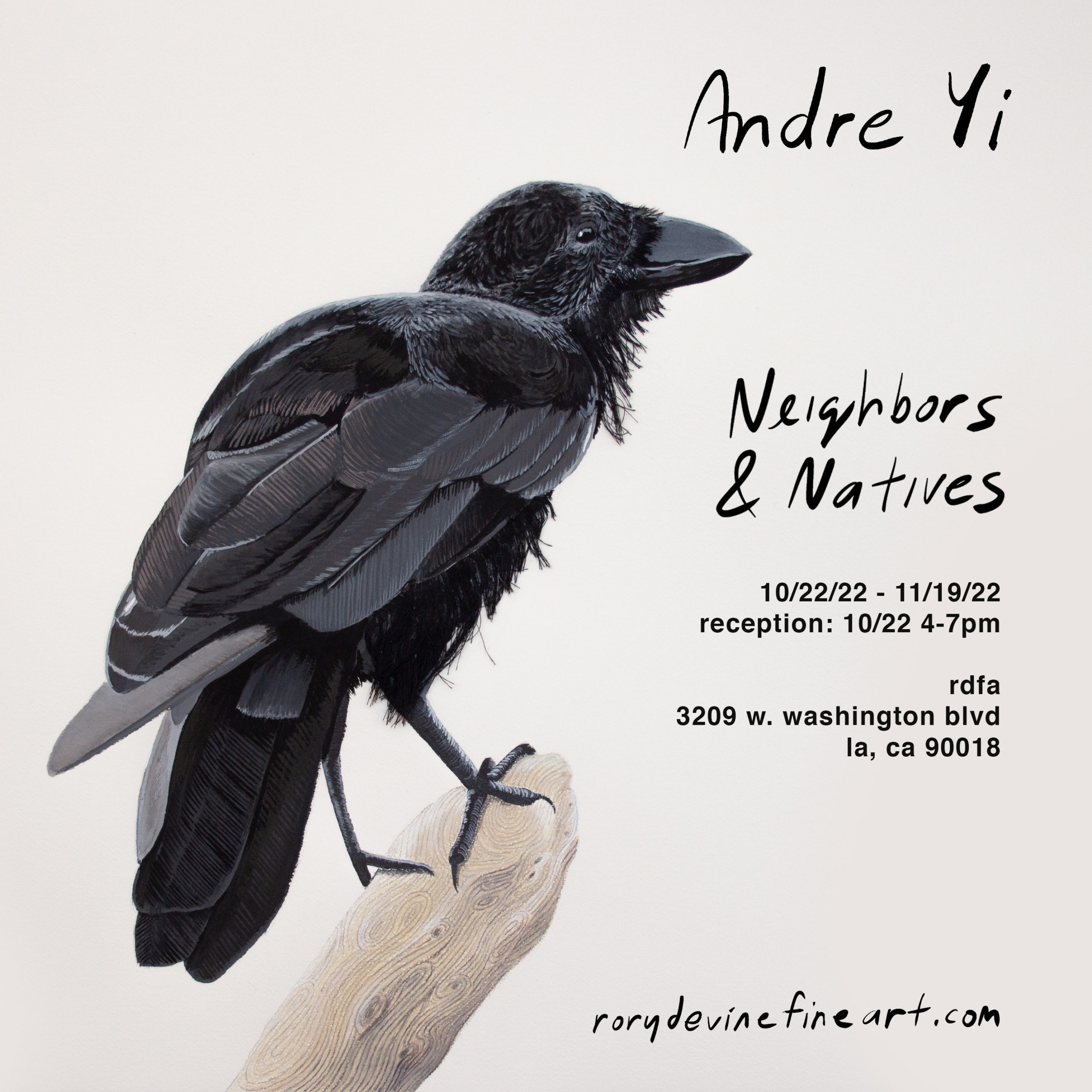 Neighbors and Natives at rdfa gallery